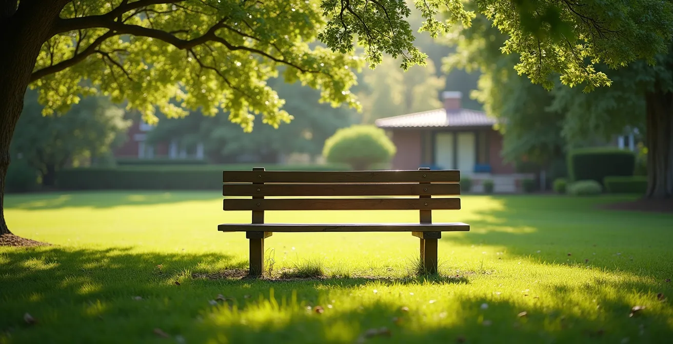 Banc de parc entouré de verdure dans un environnement calme